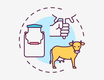 Milch ➜ Protein