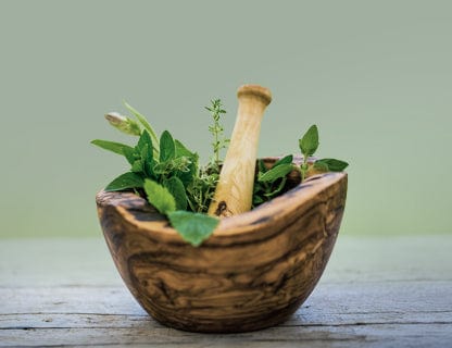 Ayurvedische Ikone